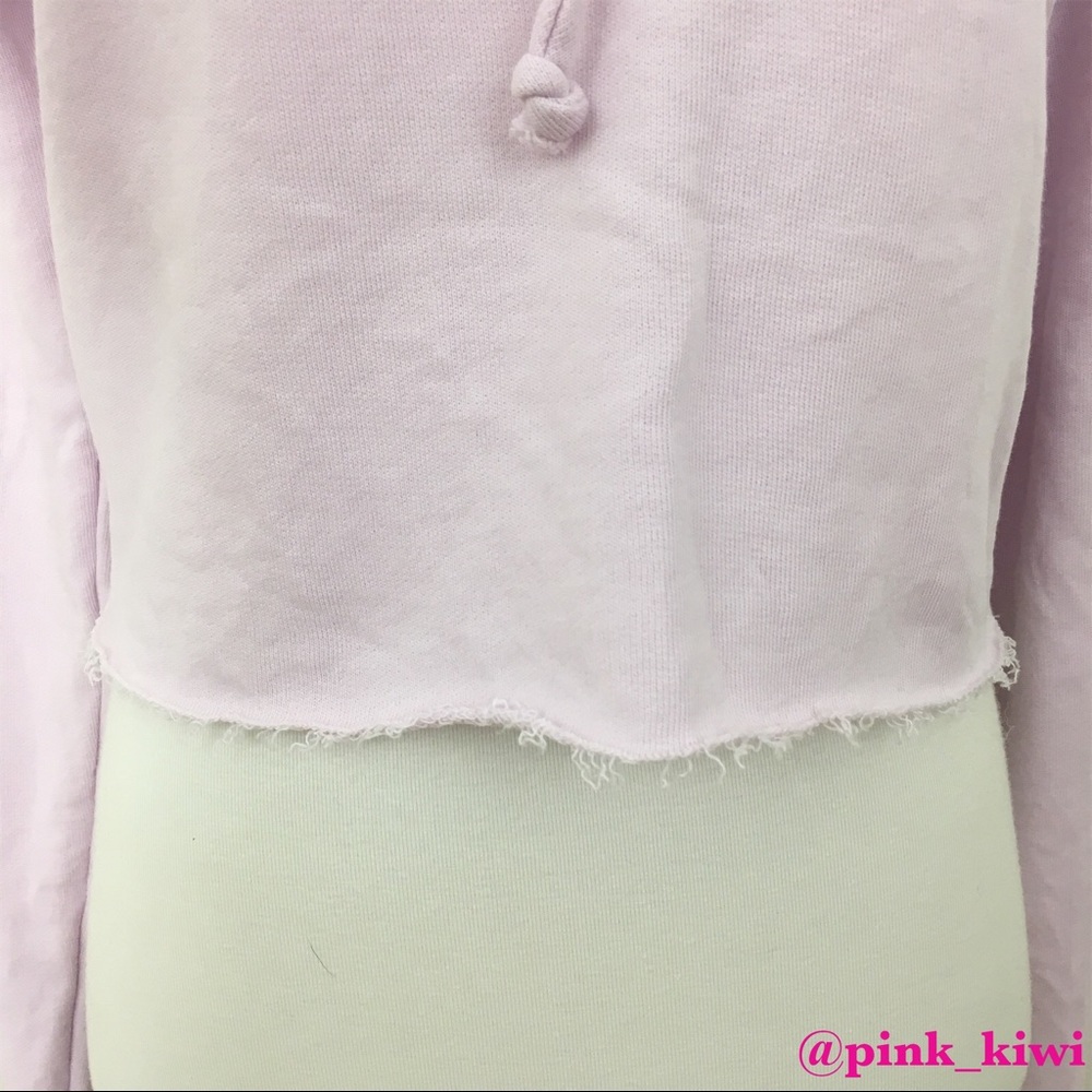 ⬇️REDUCED❗️ Wildfox Pasé The Rosé Ivy Hoodie - Picture 3 of 8